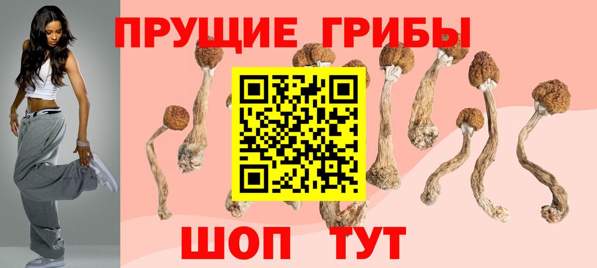 Галлюциногенные грибы Cubensis Крымск