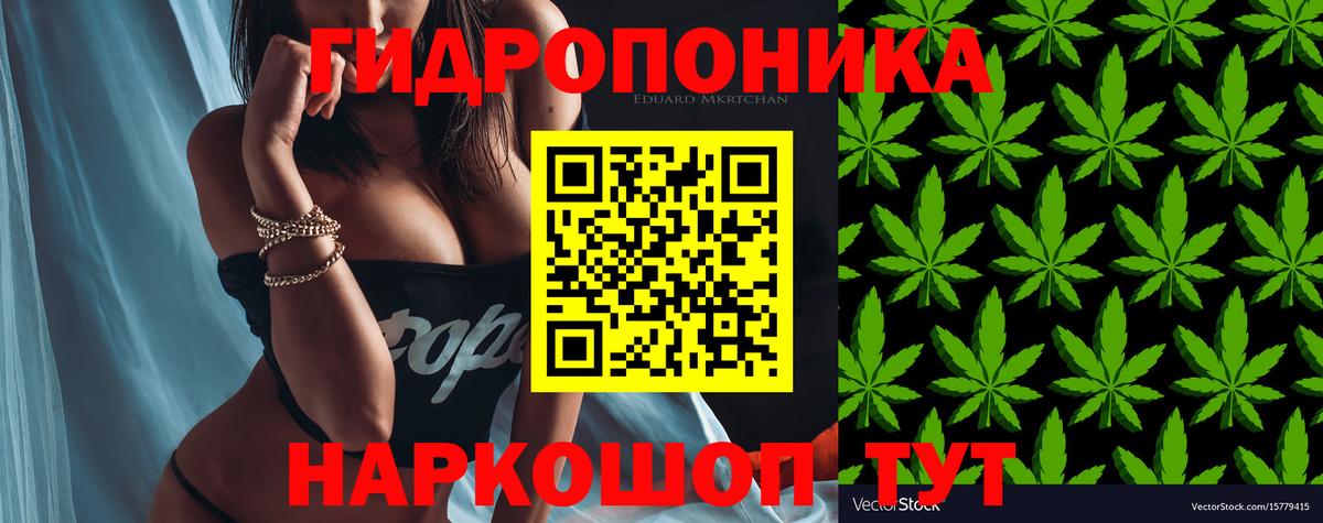 Крымск  Каннабис сатива  Каннабис сатива  Вход с VPN  Марихуана White Widow  Марихуана MAZAR 
